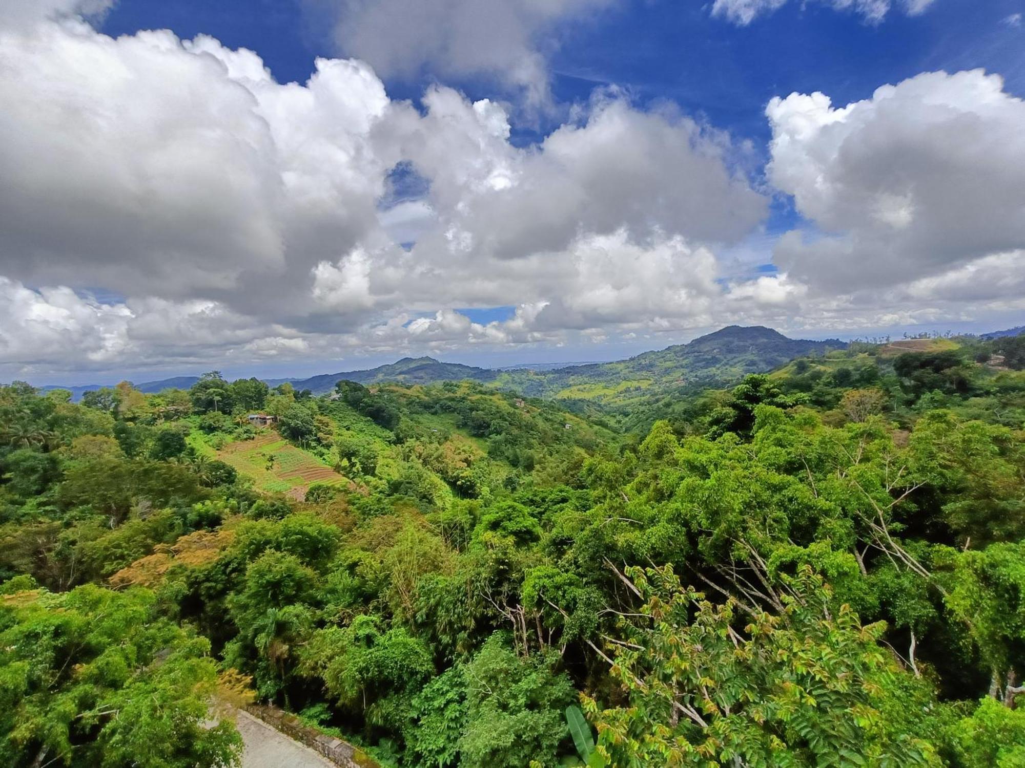 Mist Mountain Resort Powered By Cocotel Cebu Stadt Exterior foto